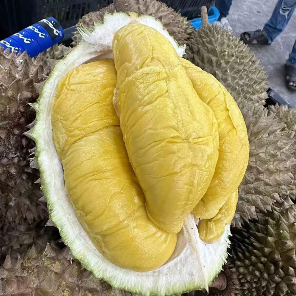 JB榴莲档
