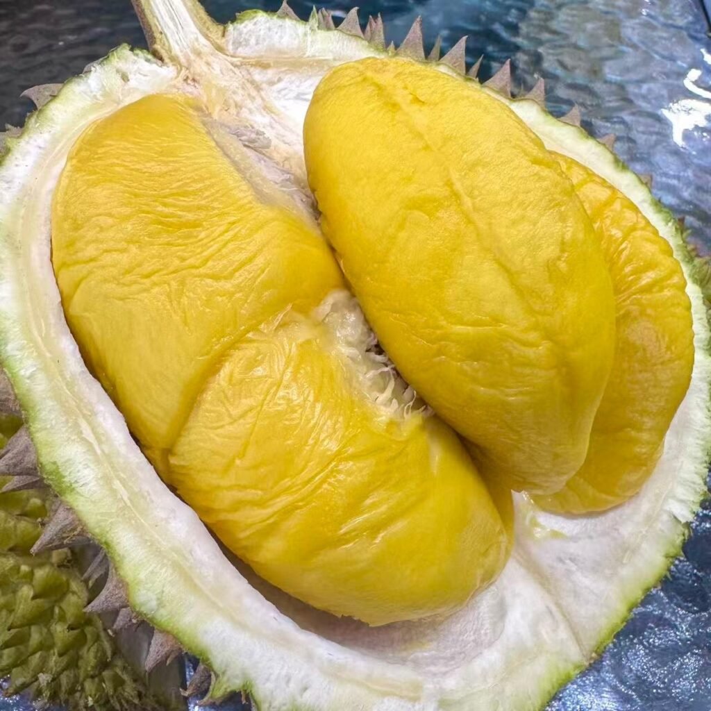 JB榴莲档