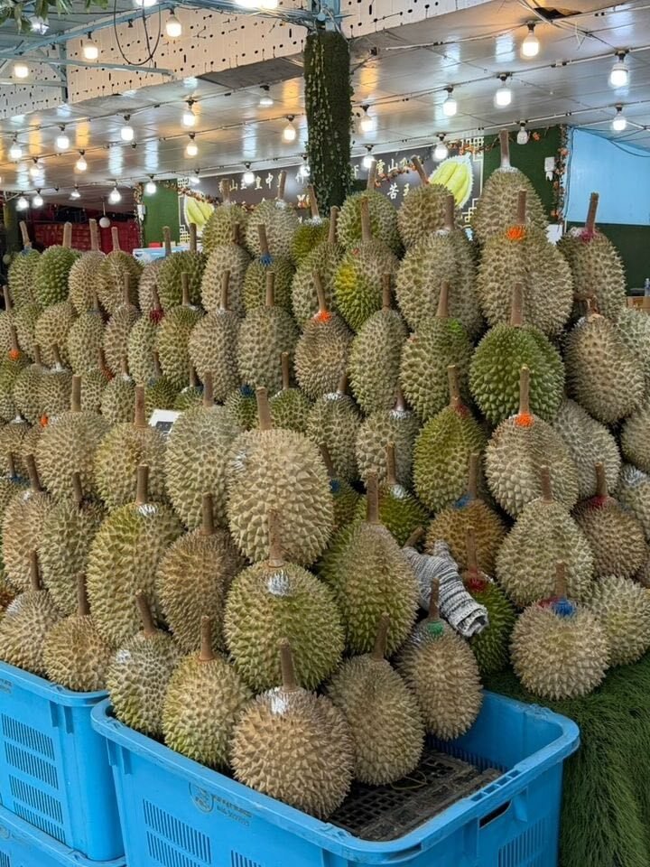 JB榴莲档