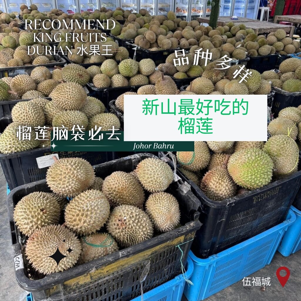 JB 榴莲百科全书：深度测评 King Fruits Durian 水果王，为什么它是新山最好吃的榴莲？